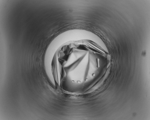 X0000097640568200803211835