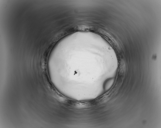 X0000097640569200803211835