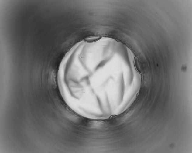 X0000097640575200803211835