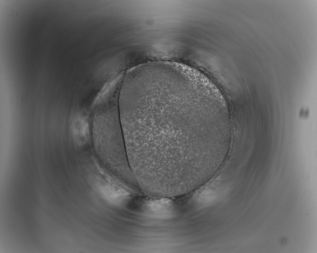 X0000097640576200803211835