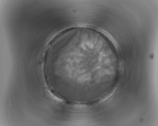 X0000097640577200803211834