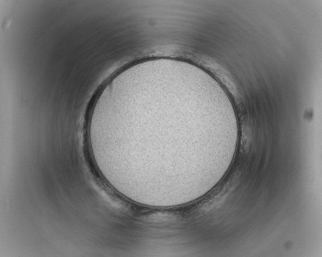 X0000097640578200803211834