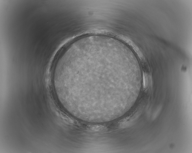 X0000097640579200803211834