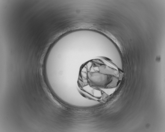 X0000097640581200803211834