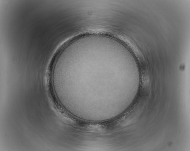 X0000097640583200803211834