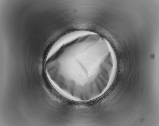 X0000097640586200803211834