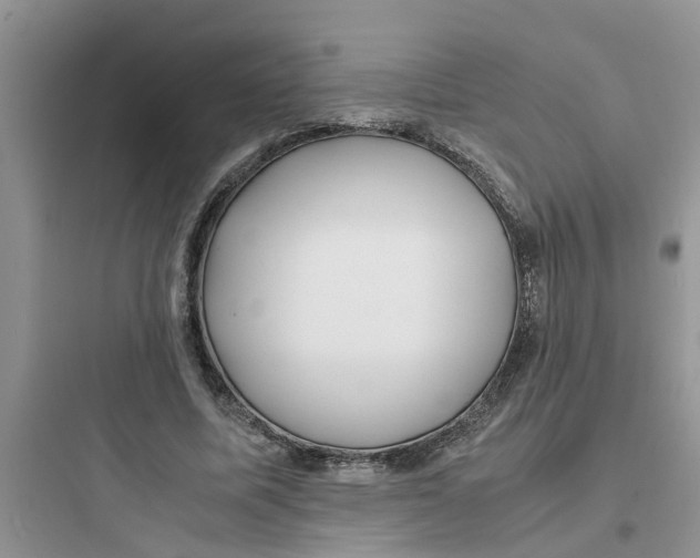 X0000097640587200803211834