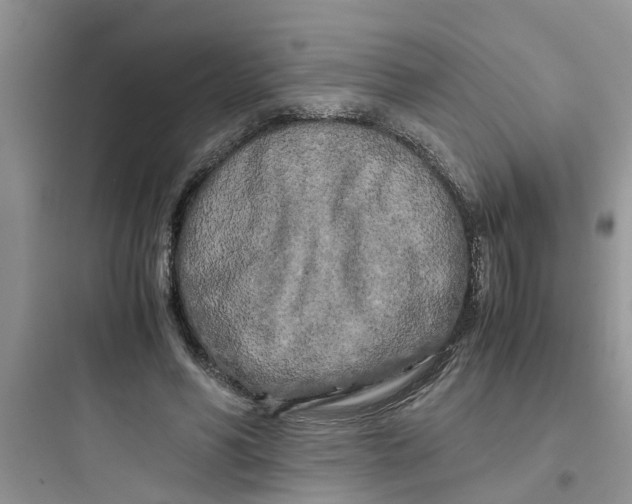 X0000097640590200803211834