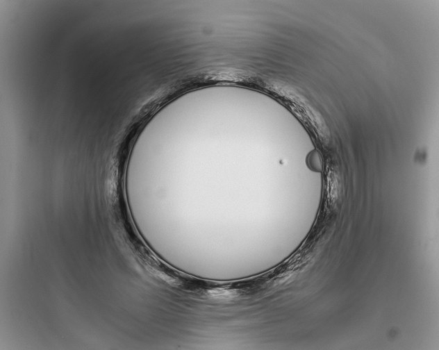 X0000097640591200803211834