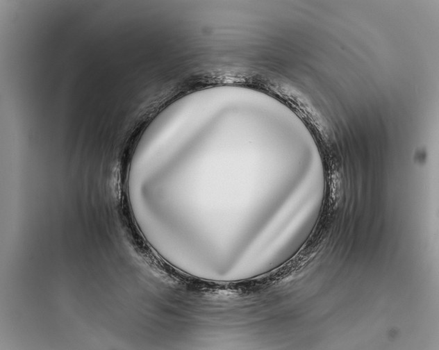 X0000097640594200803211834