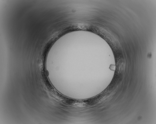 X0000097640595200803211834