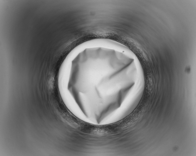 X0000097640596200803211834