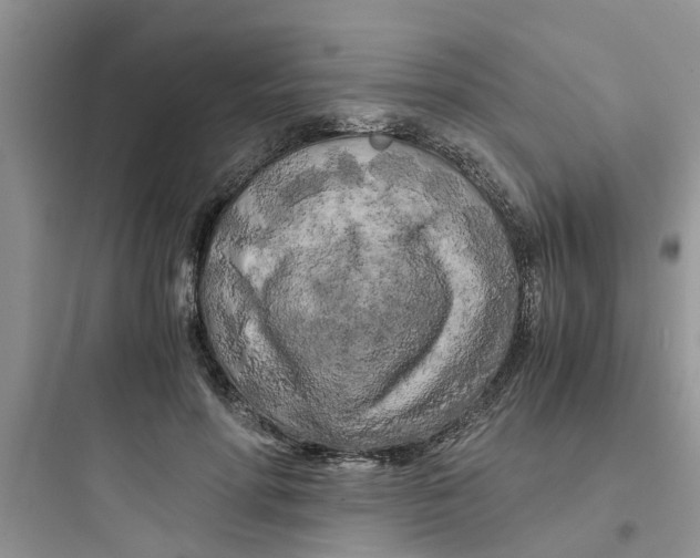 X0000097640598200803211834