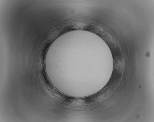 X0000097640599200803211834