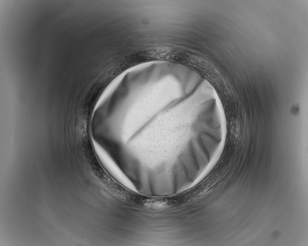 X0000097640602200803211834