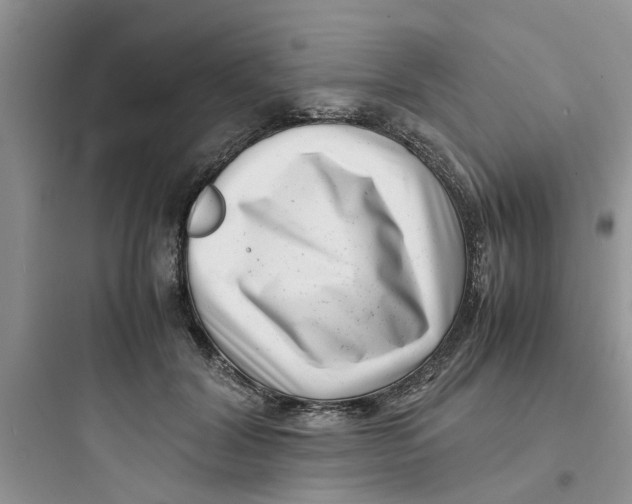 X0000097640604200803211834