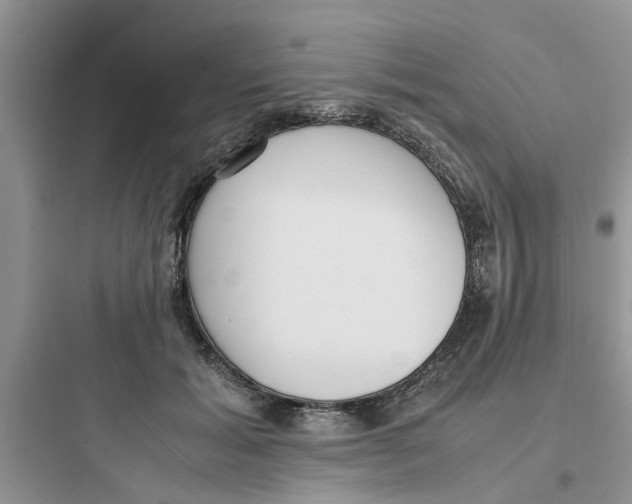 X0000097640605200803211834