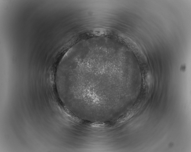 X0000097640606200803211834