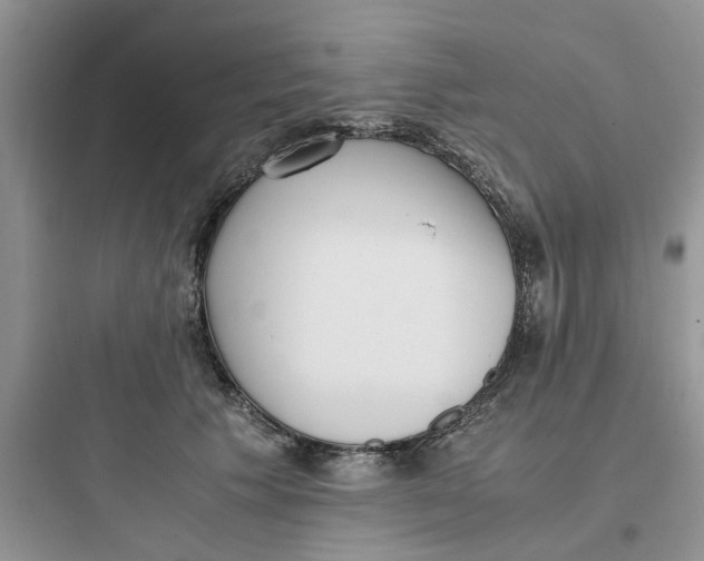 X0000097640609200803211834