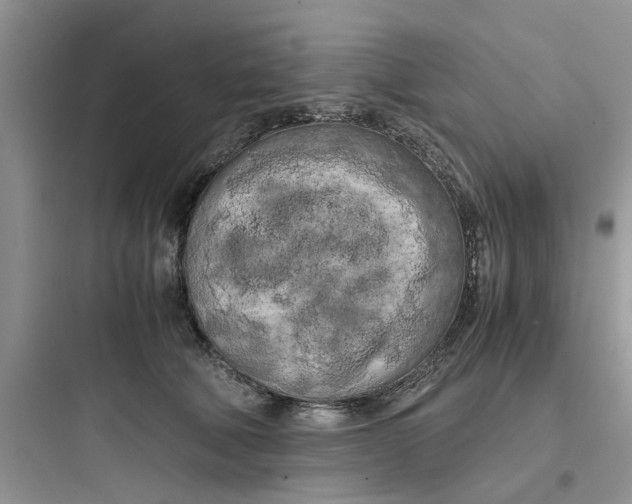 X0000097640610200803211834