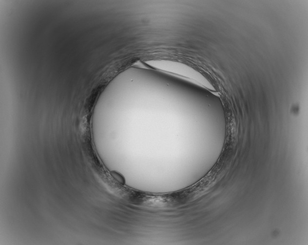 X0000097640611200803211834