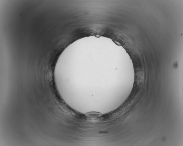 X0000097640613200803211834