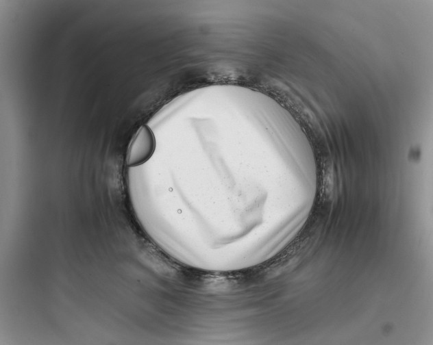 X0000097640616200803211834