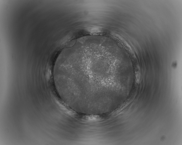 X0000097640618200803211834