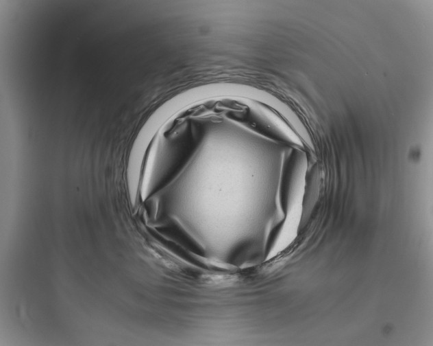 X0000097640621200803211834