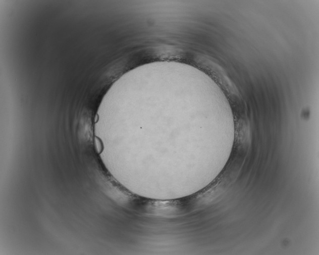 X0000097640622200803211834