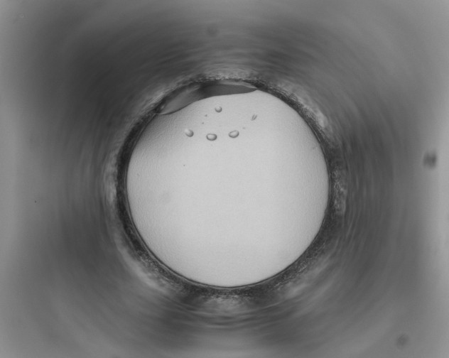 X0000097640631200803211833