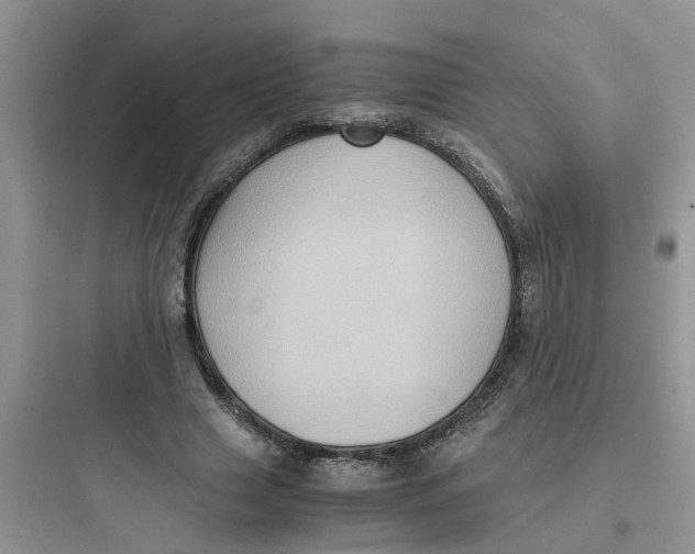 X0000097640633200803211833