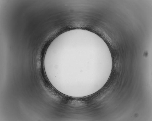 X0000097640635200803211833