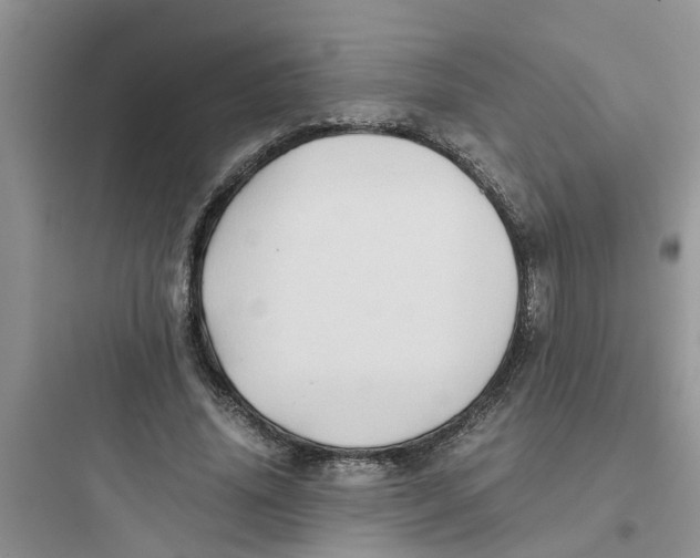 X0000097640636200803211833