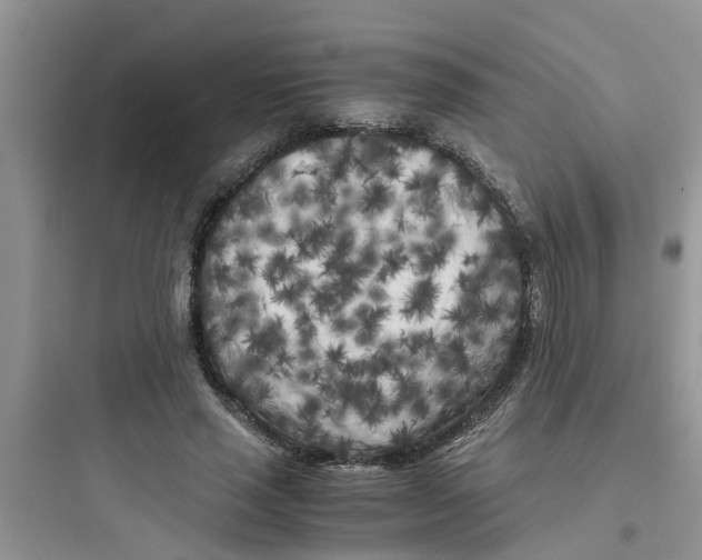 X0000097640637200803211833