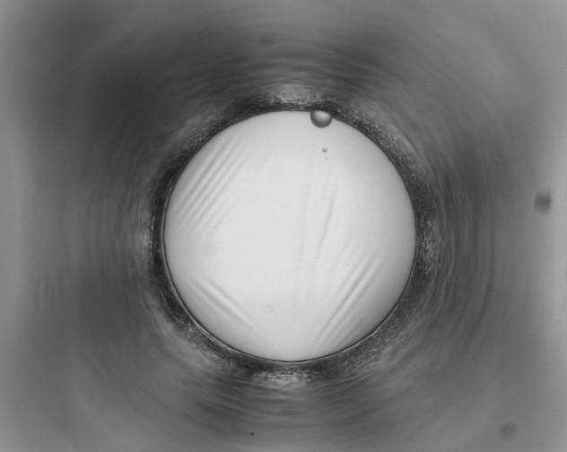 X0000097640639200803211833