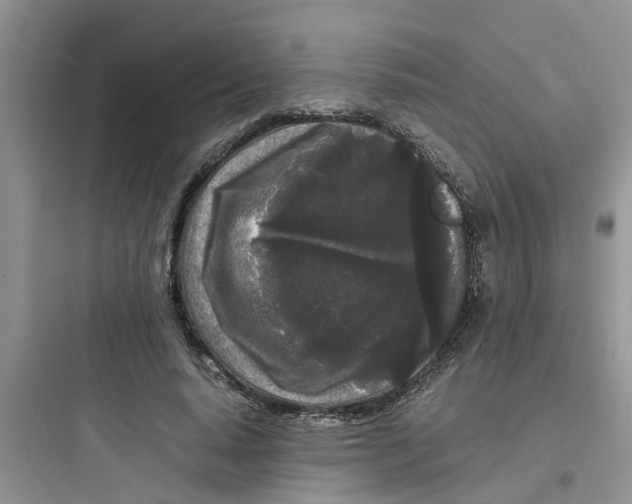 X0000097640640200803211833