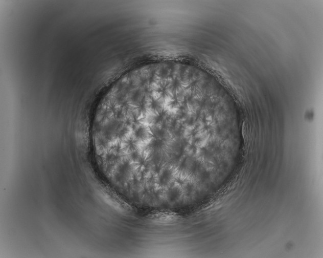 X0000097640642200803211833