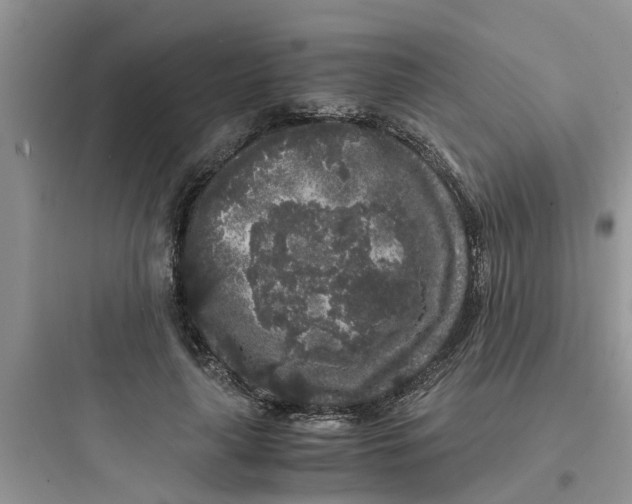 X0000097640643200803211833