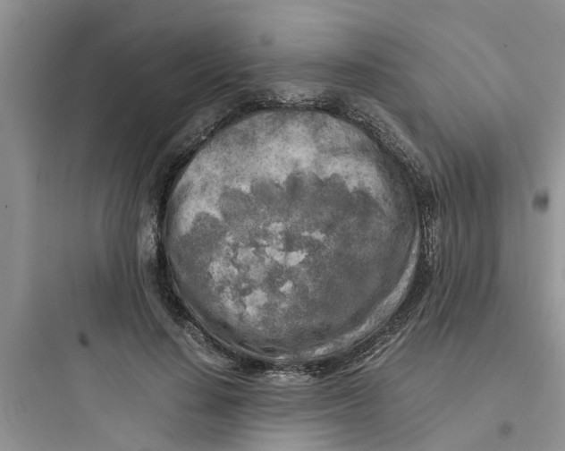 X0000097640644200803211833