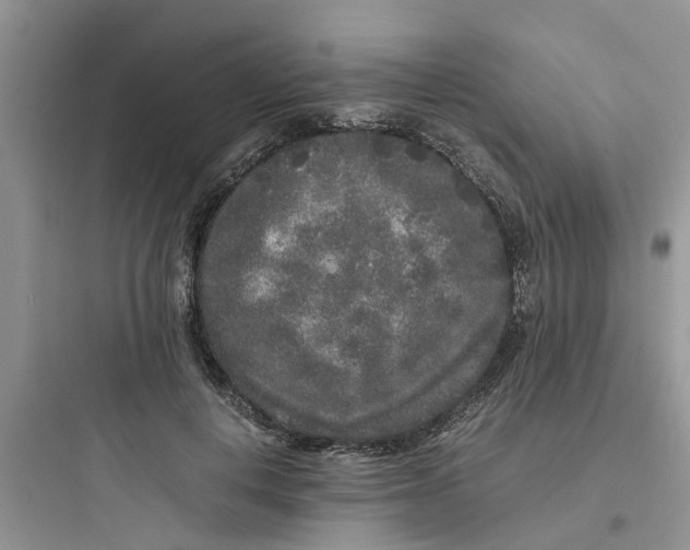 X0000097640648200803211833