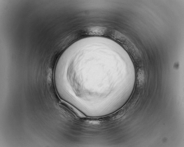 X0000097640649200803211833