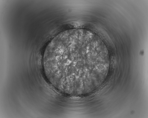 X0000097640650200803211833