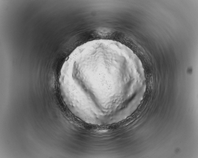 X0000097640651200803211833