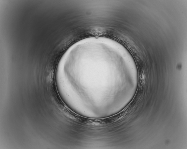 X0000097640652200803211833