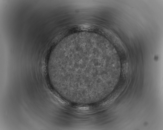 X0000097640653200803211833