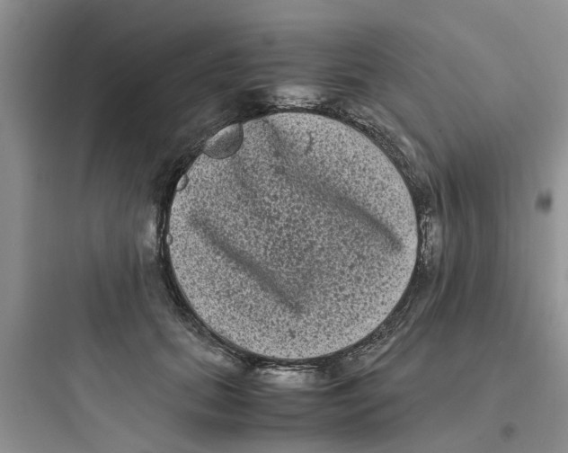 X0000097640655200803211833