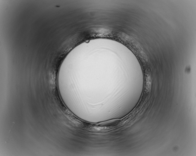 X0000097640657200803211833