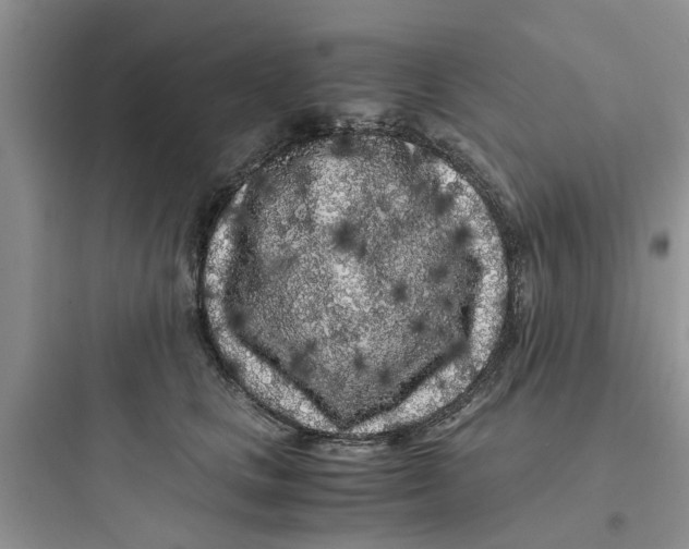 X0000097640661200803211833