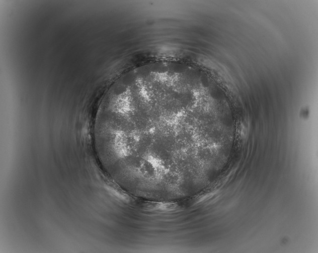 X0000097640663200803211834